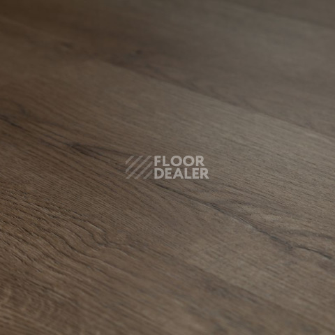 Tarkett Funky House TOM фото 3 | FLOORDEALER